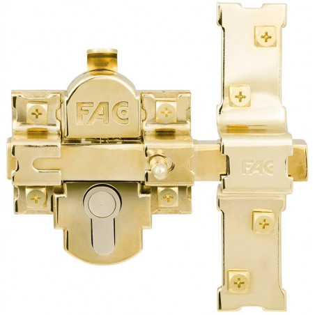 FAC 311-R/80 C/C CLASSIQUE OR