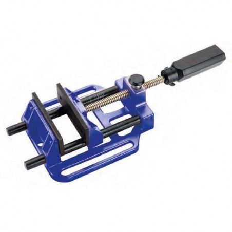 ALYCO 199330 DÉGUSTATION