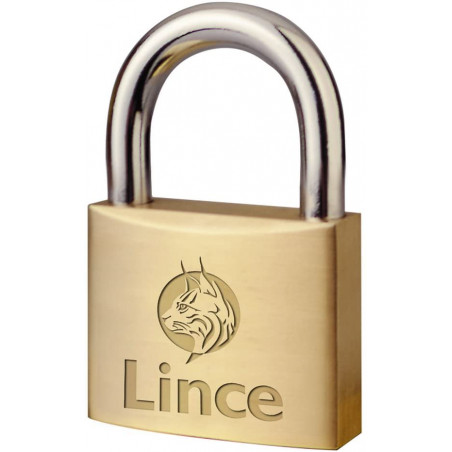 LINCE 300 20 Chandé 20mm avec arc normal